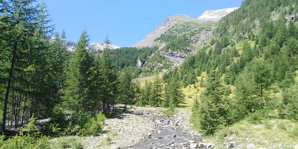   meublé 6 personnes Htes Alpes,Vallouise, massif ECRINS Provence-Alpes-Côte d'Azur, Vallouise (05290)