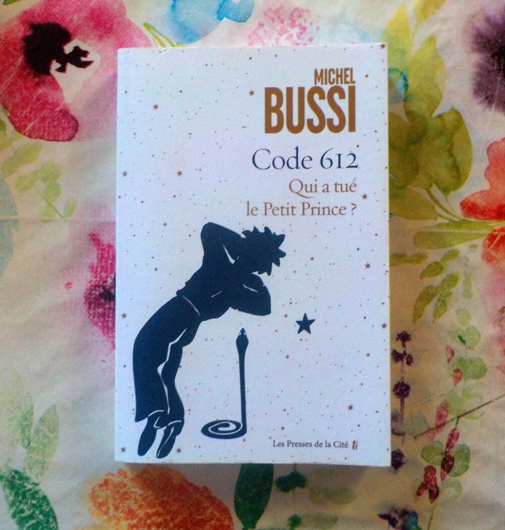 CODE 612 Qui a tu&eacute; le Petit Prince ? de Michel BUSSI Livres et BD