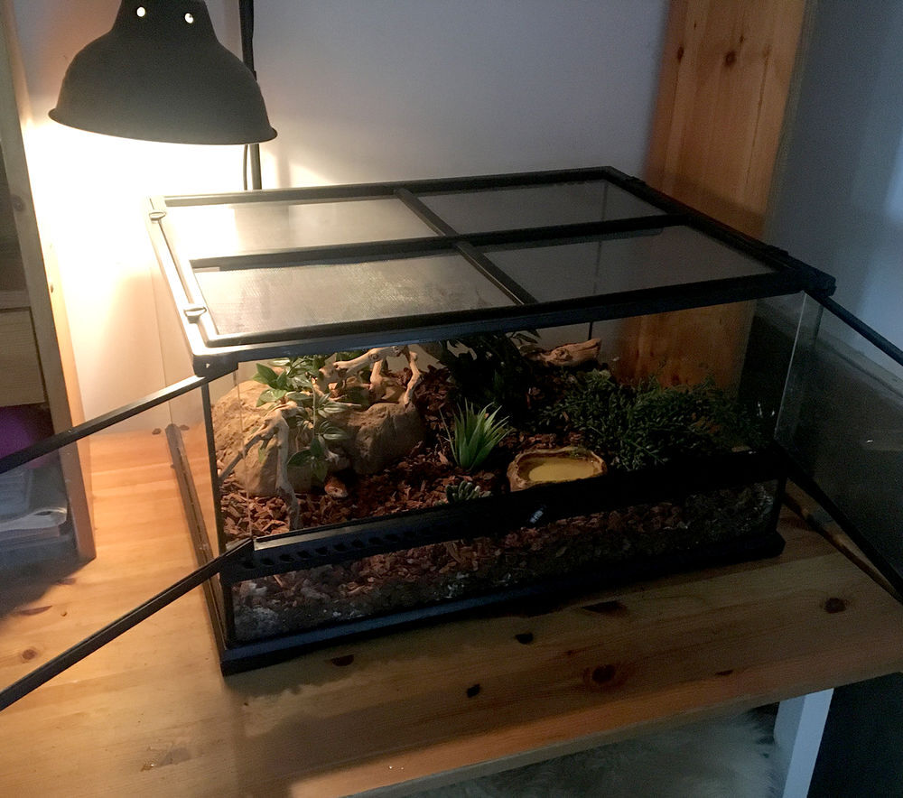 Terrarium &eacute;quip&eacute; pour serpents des bl&eacute;s Meubles