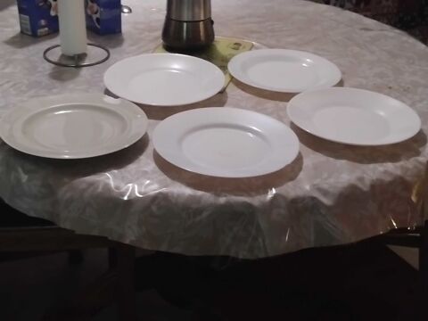 lot de 5 assiettes plates 5 Montigny-le-Bretonneux (78)