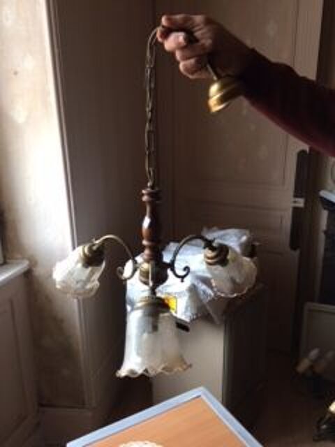 Lustre  30 Le Palais-sur-Vienne (87)