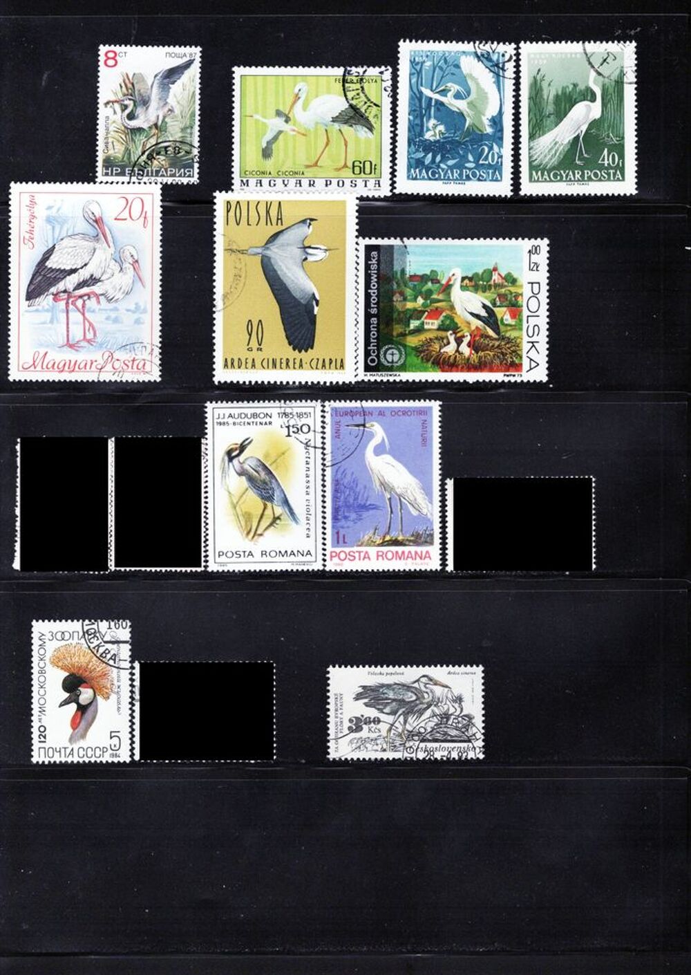 lot de 36 timbres du MONDE avec des ECHASSIERS 
