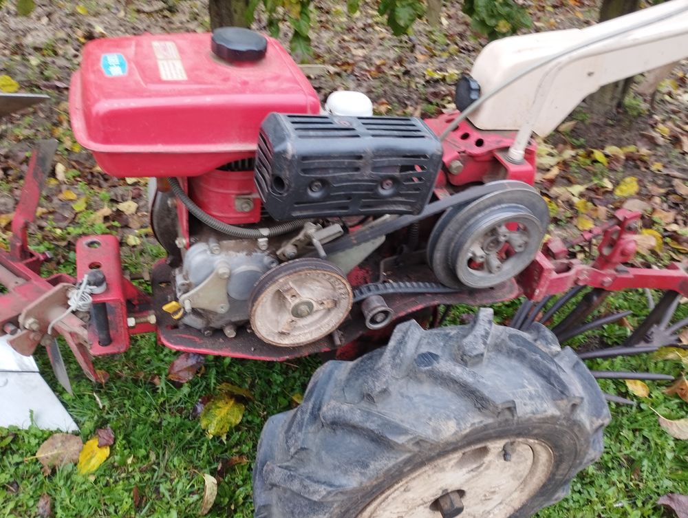Motoculteur SOLO en tr&egrave;s bon &eacute;tat.
Jardin
