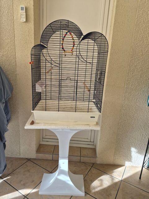 CAGE OISEAUX 40 47300 Villeneuve-sur-lot