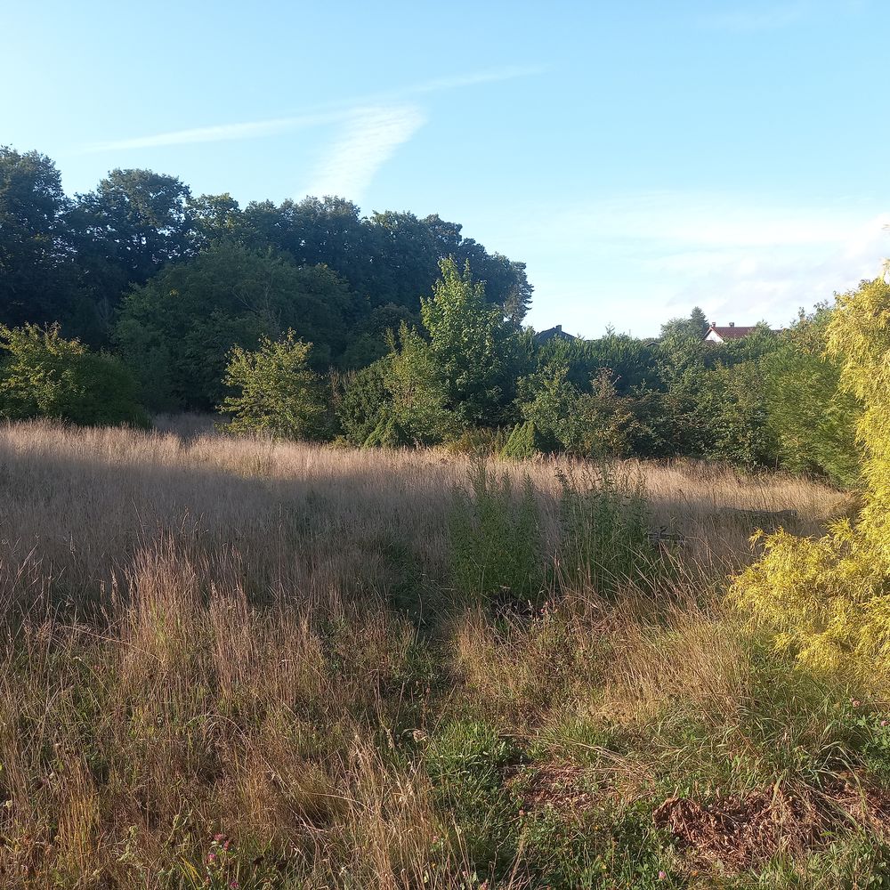Vente Terrain POUR INVESTISSEUR TERRAIN A LOTIR CREUTZWALD Creutzwald