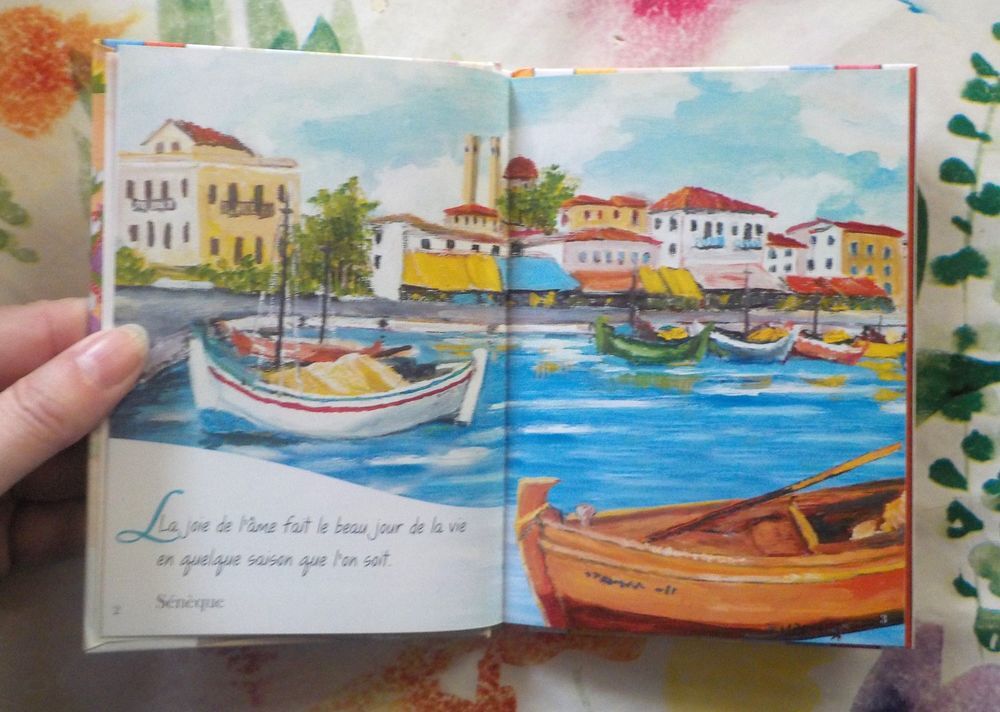 5 RECUEILS DE CITATIONS SERENITE AMITIE BONHEUR AMOUR JOIE Livres et BD