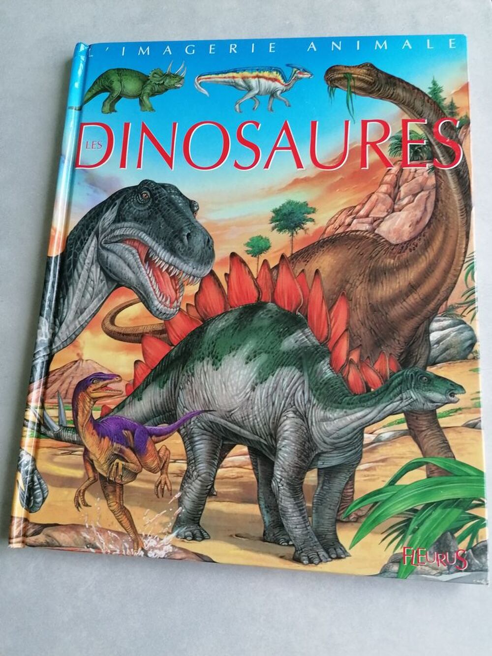 3 livres enfant Les dinosaures Livres et BD