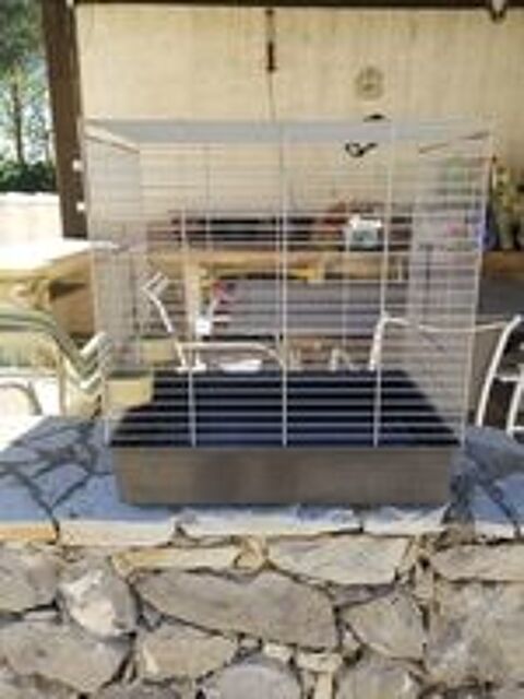   Cages oiseaux  
