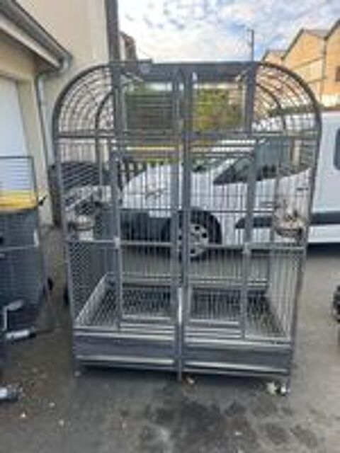   Cage perroquet  