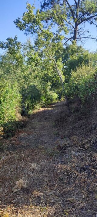  Terrain � vendre 2631 m� Leiria, portugal