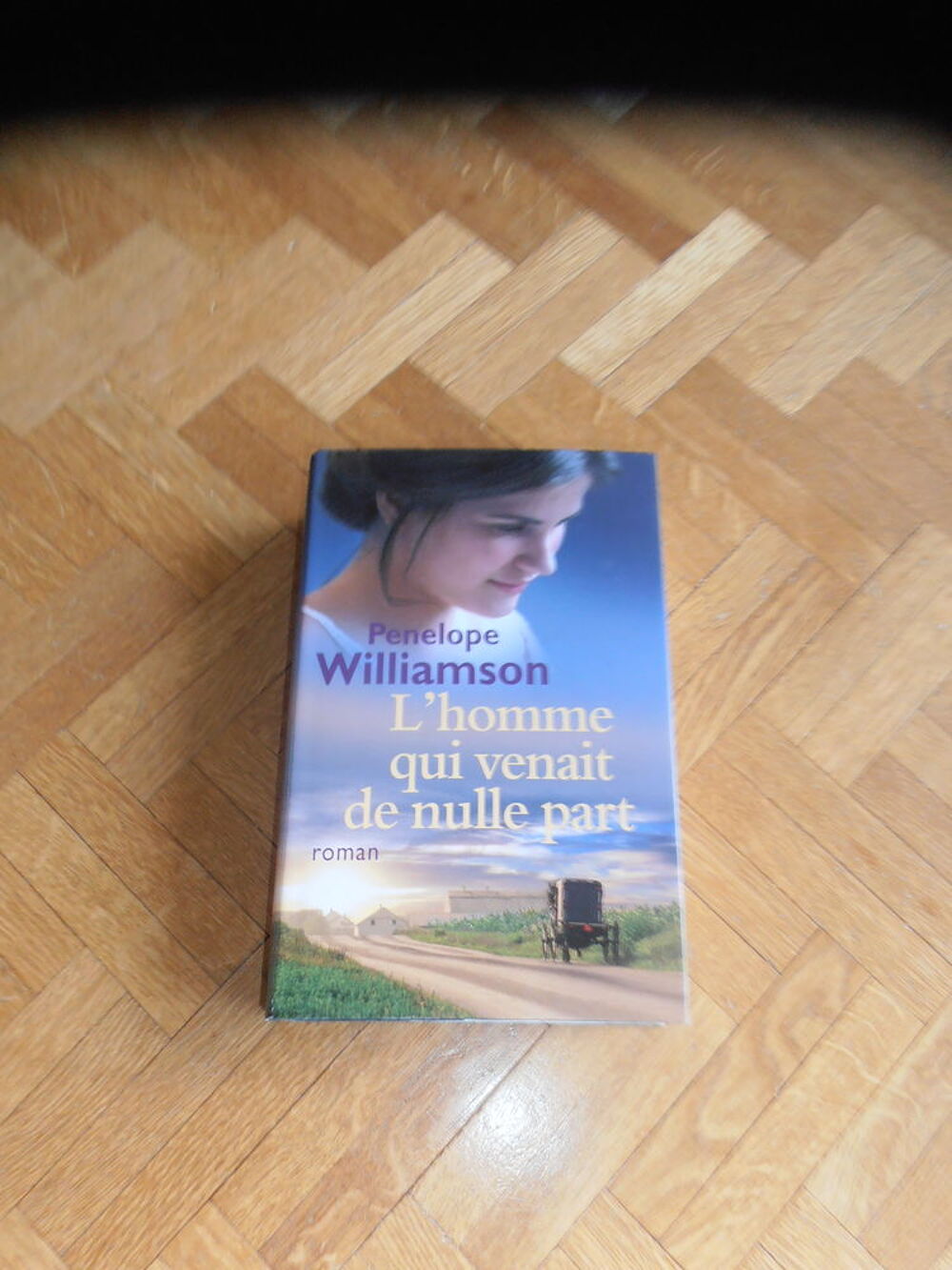 L'homme qui venait de nulle part (88) Livres et BD