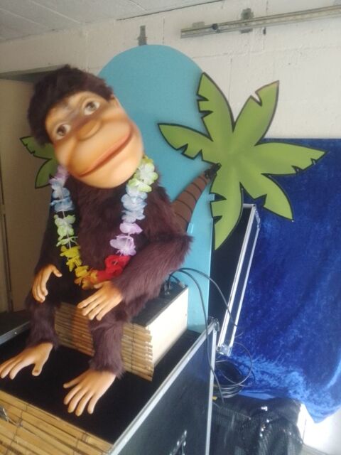 singe m�canis� mont� en flight 790 Cholet (49)