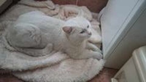   CASPER � l'adoption 