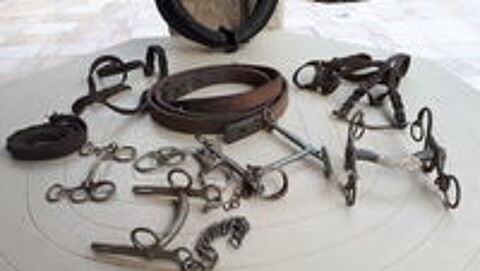   colliers, mors, cuirs pour chevaux 