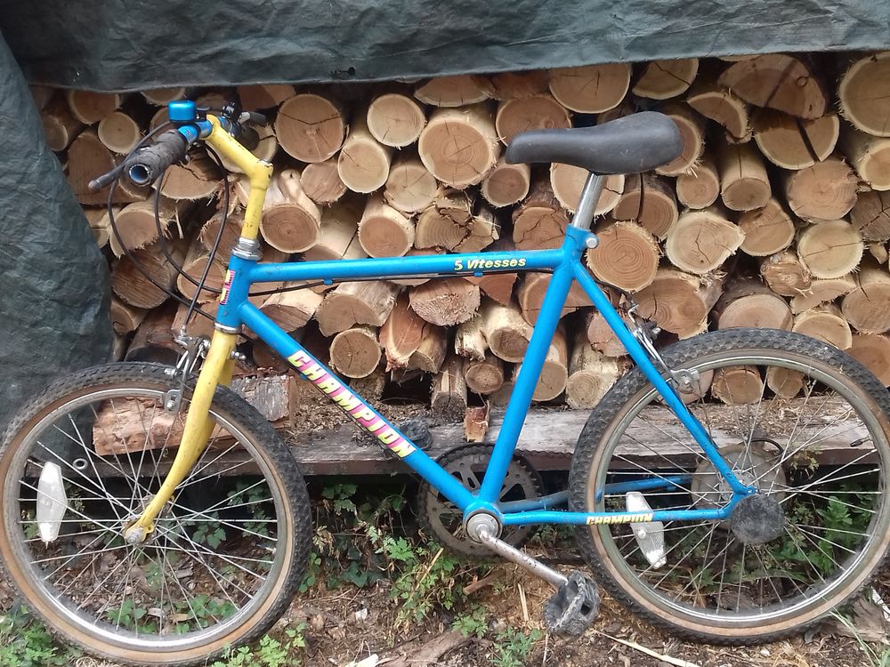 VELO ENFANT Vlos