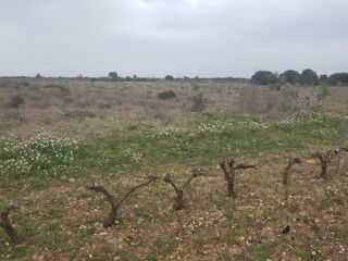  Terrain � vendre 7322 m�