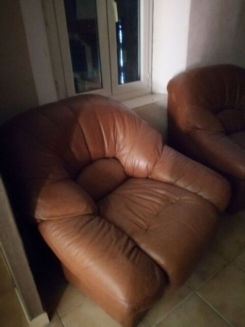 Fauteuils et canap� 120 Sauteyrargues (34)