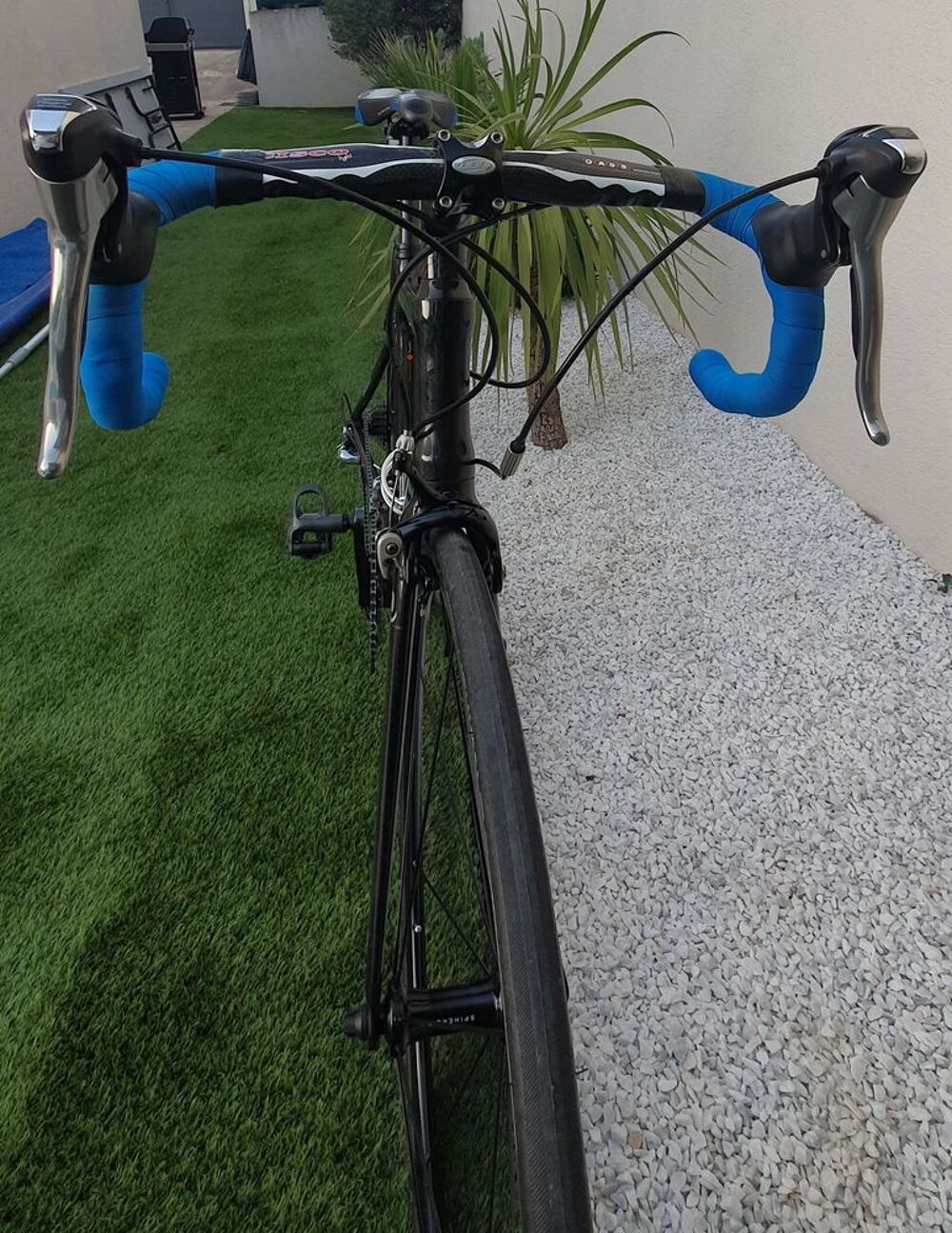 GIANT TCR Carbone Vélos