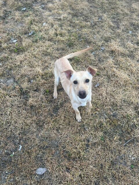 TOMM 300 95610 ragny