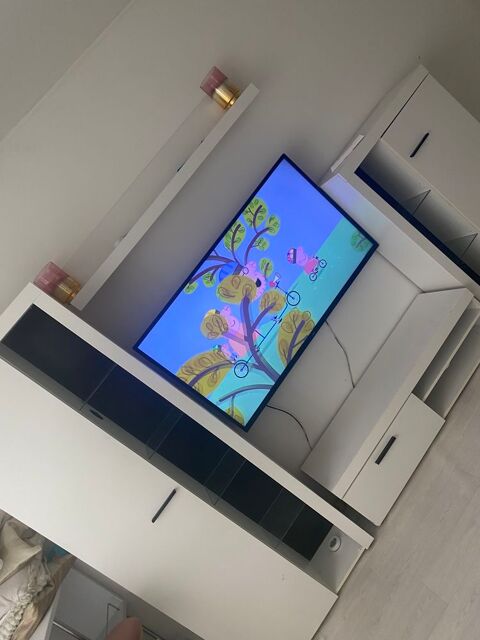 meuble tv 60 Saint-Jean-de-Braye (45)