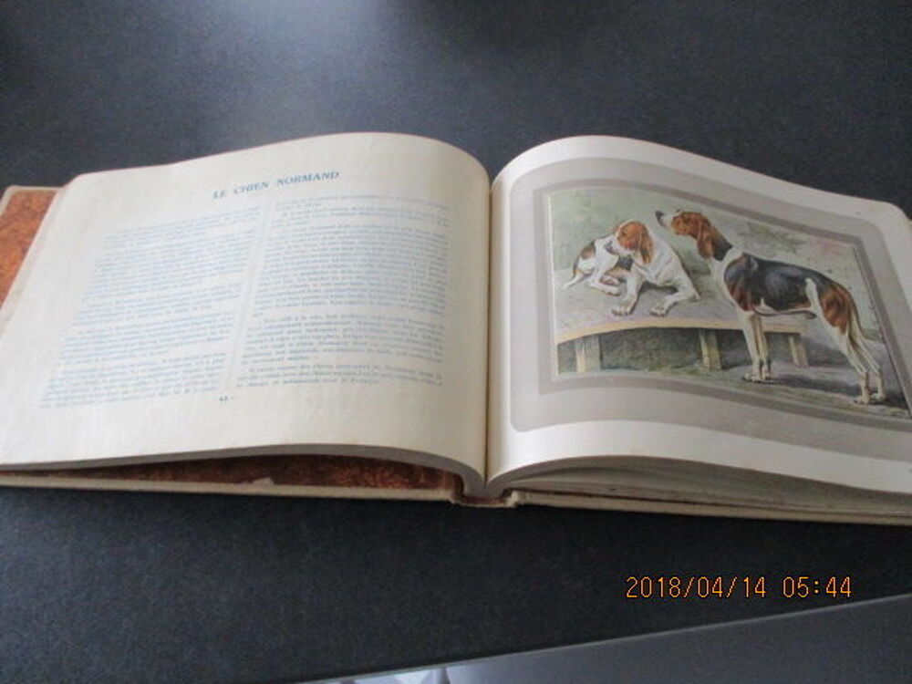 Les chiens de chasse Livres et BD