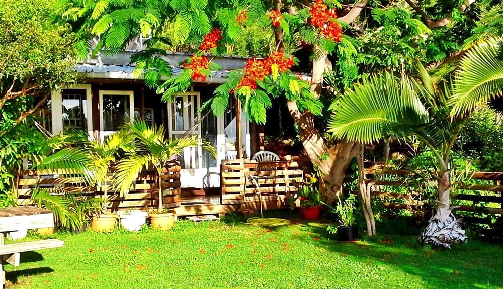   LA MAISON ZEN - saisonnière - Ouest de La Réunion DOM-TOM, Saint-Leu (97424)