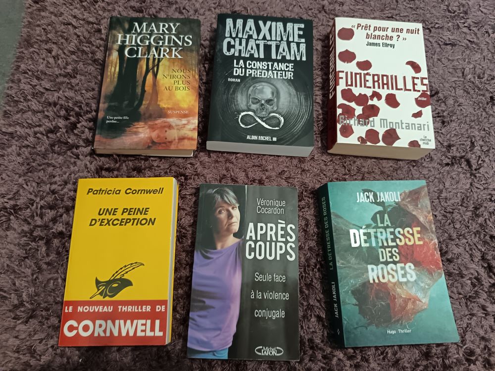 Livres romans thriller &agrave; 2 € l unit&eacute; Livres et BD