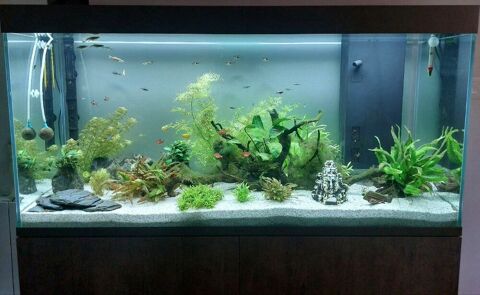 Aquarium + meuble + &eacute;quipements 350 12330 Valady