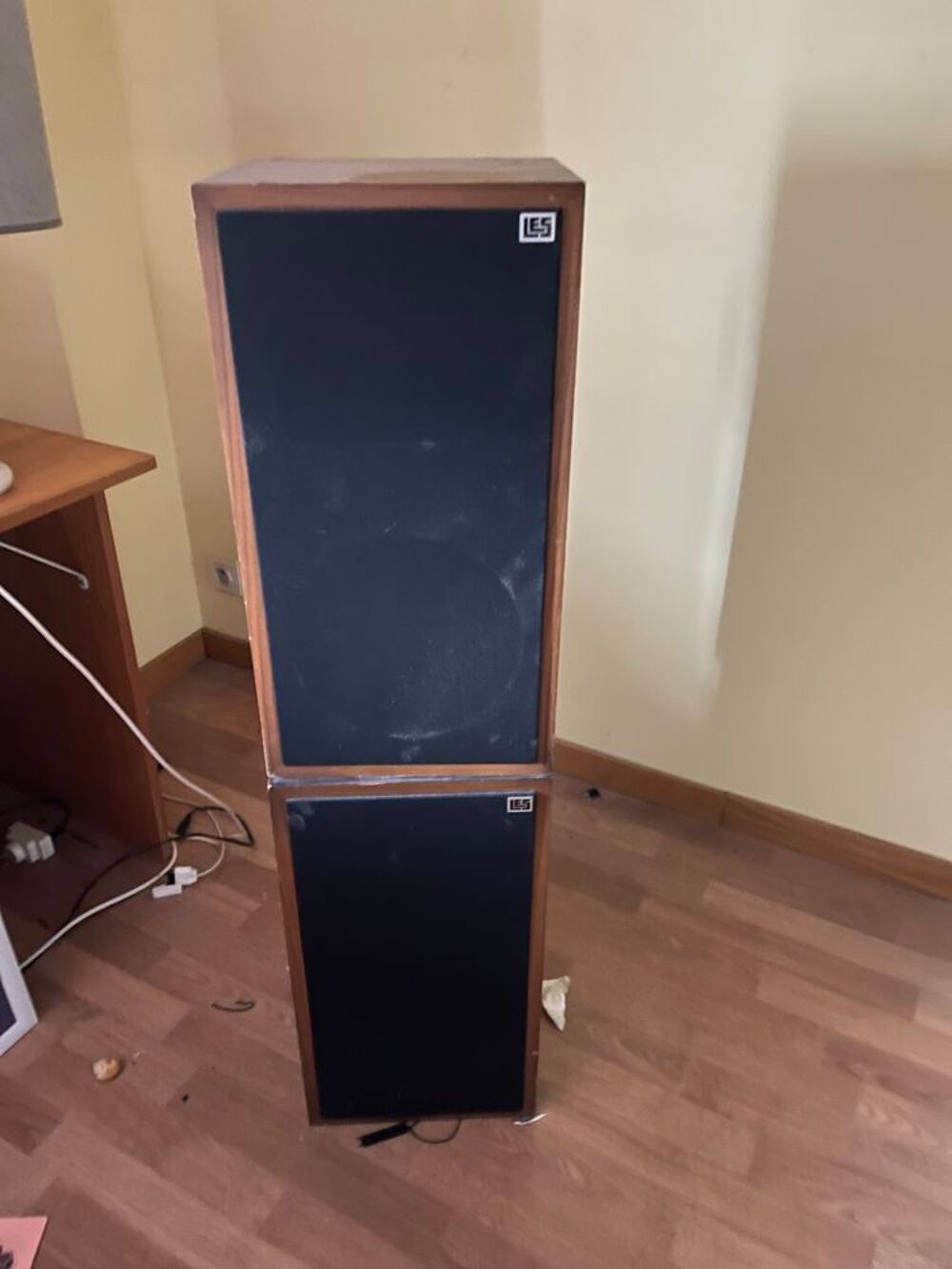 Enceintes LES 35 watts Audio et hifi