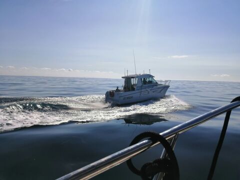 Bateaux à moteur Pêche-promenade 1996 occasion Lanester 56600