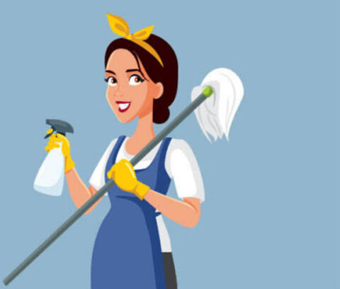 Ménages 15 97240 Le franois