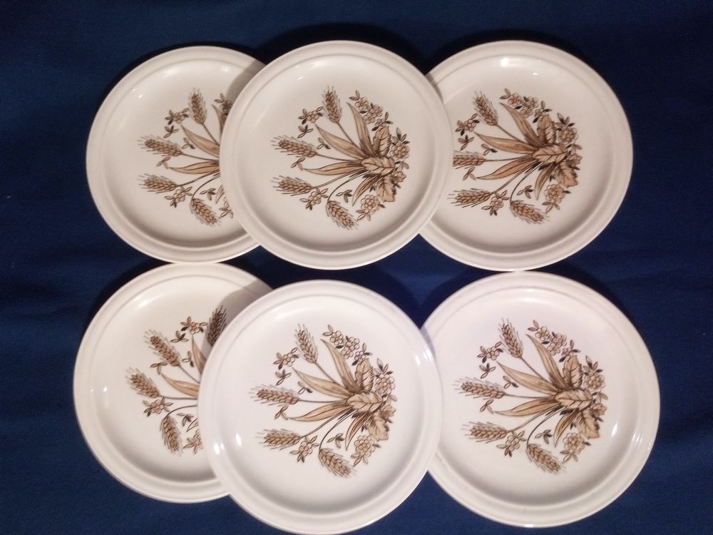 Lot 6 assiettes plates &eacute;pis de bl&eacute; en pierre de fer Décoration