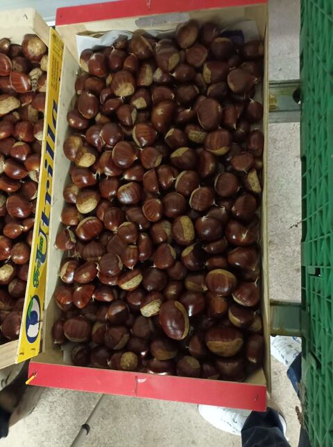 Noix et chataignes 0 Neufmaisons (54)