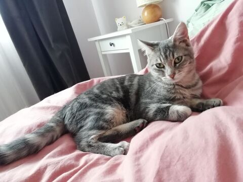 ARLO est Reserv&eacute; 240 92400 Courbevoie