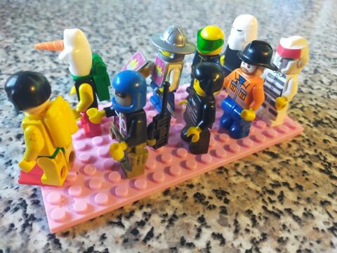 lot complet de personnages LEGO
10 Mirecourt (88)