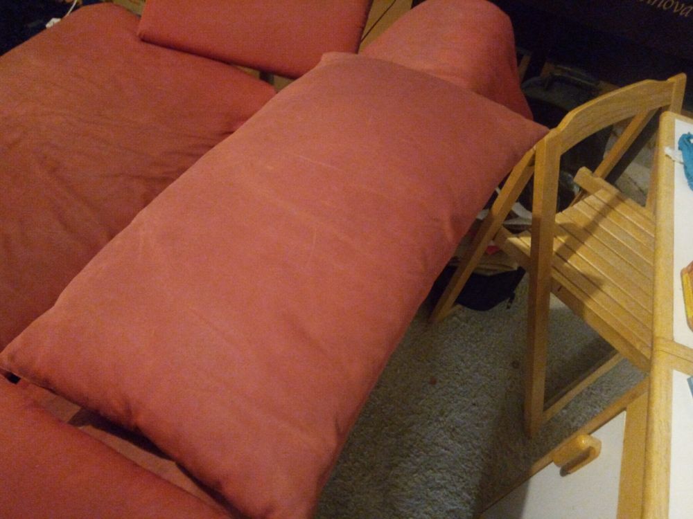 Deux oreillers de canap&eacute; de la marque ligne roset Meubles