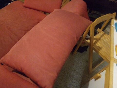 Deux oreillers de canap de la marque ligne roset 10 Paris 18 (75)
