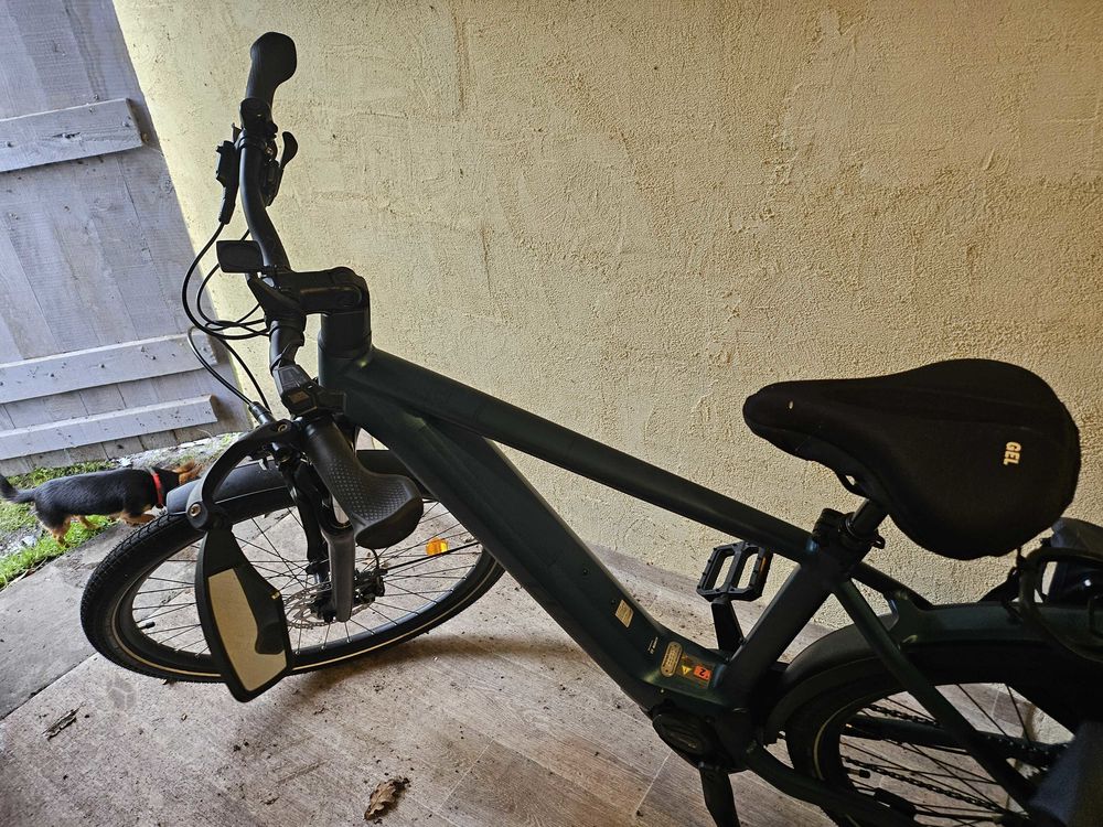 velo assistance &eacute;lectrique Vélos