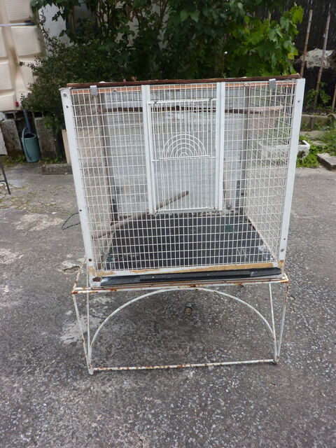 CAGE OISEAUX 20 64990 Saint-pierre-d'irube