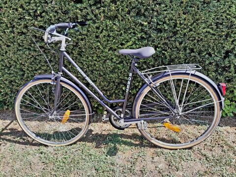 Vélo de ville type Hollandais Aix-en-Othe (10)
