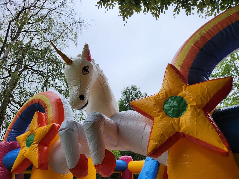Ch&acirc;teau gonflable licorne professionnel avec toboggan - JB I Jeux / jouets