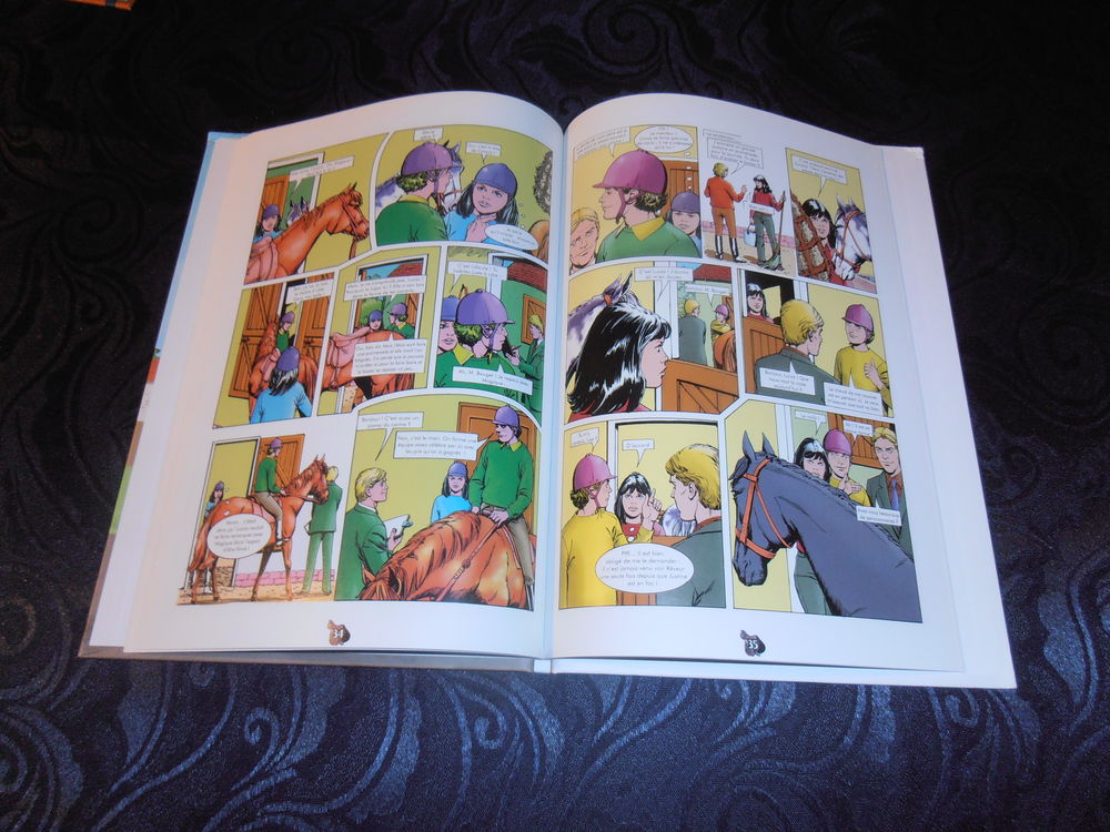 Aventures au Centre Equestre (29) Livres et BD