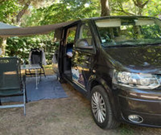  2010 occasion 33480 Castelnau-de-M&eacute;doc