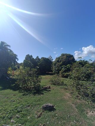  Terrain � vendre 1000 m� 