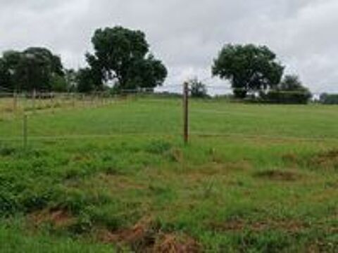   Recherche hongre, jument ou poney D 