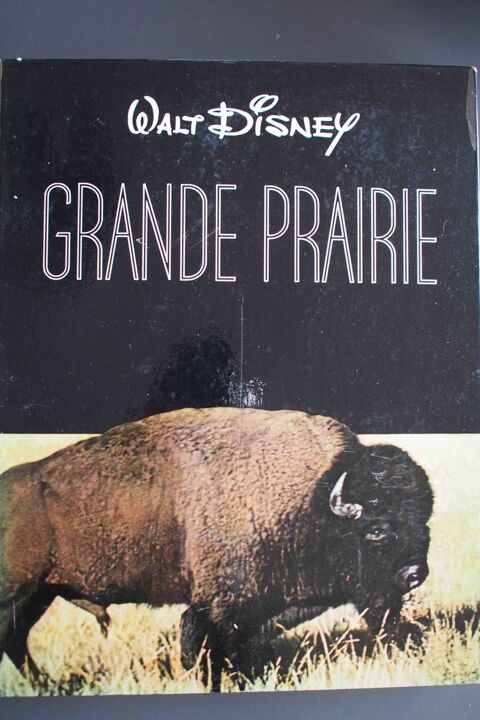 GRANDE PRAIRIE - Walt Disney 5 Rennes (35)