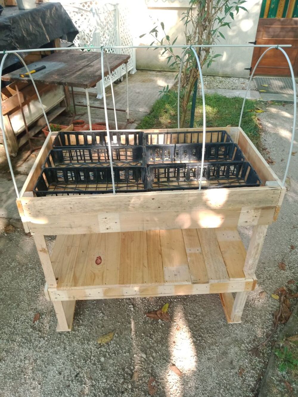 serre int&eacute;rieur Jardin