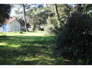  Terrain à vendre 990 m²