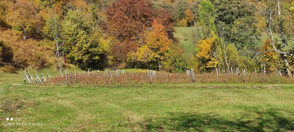 Vente Propriété/Château ménage rural complet Monza, ????? ? ????????, ??????? (Italie)