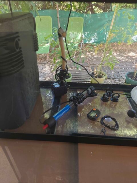 aquarium 120 litres Rognac (13)